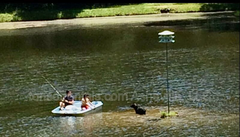 Welcome to your dream home in Arden, NC. This stunning 5-bedroom, 3.5-bathroom house is nestled on a 20-acre lot at the end of a cul-de-sac, offering breathtaking lake views. property image