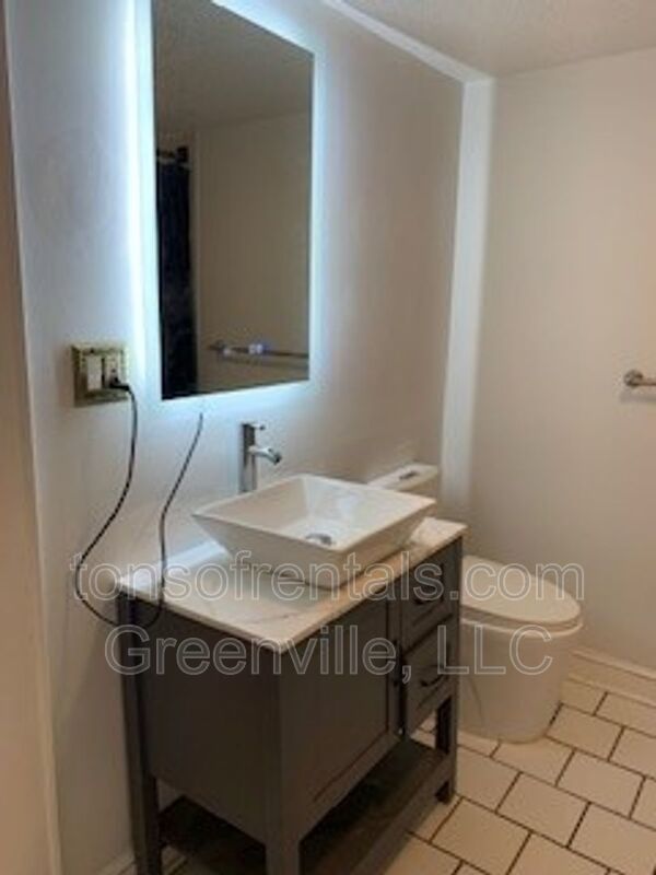 Neat 2 bedroom 2 bath townhome minutes to downtown Greenville SC! property image