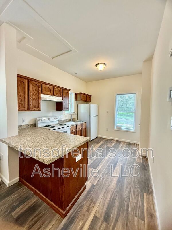 Freshly built upstairs duplex unit in Brevard, NC, offering a bright one-bedroom, one-bath layout with an open floor plan and vinyl flooring throughout. property image