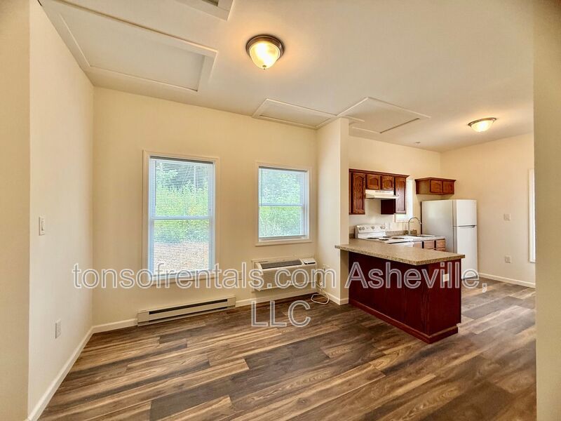 Freshly built upstairs duplex unit in Brevard, NC, offering a bright one-bedroom, one-bath layout with an open floor plan and vinyl flooring throughout. property image