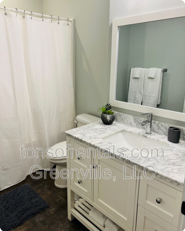 Modern 2br/2ba units @ Dunean Mill Apartments! property image