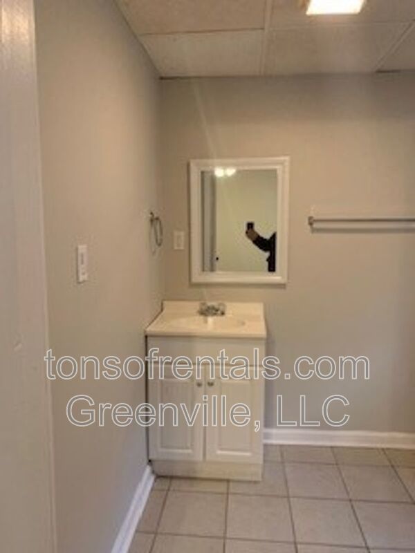 Spacious and renovated home in great location of Greenville SC! property image